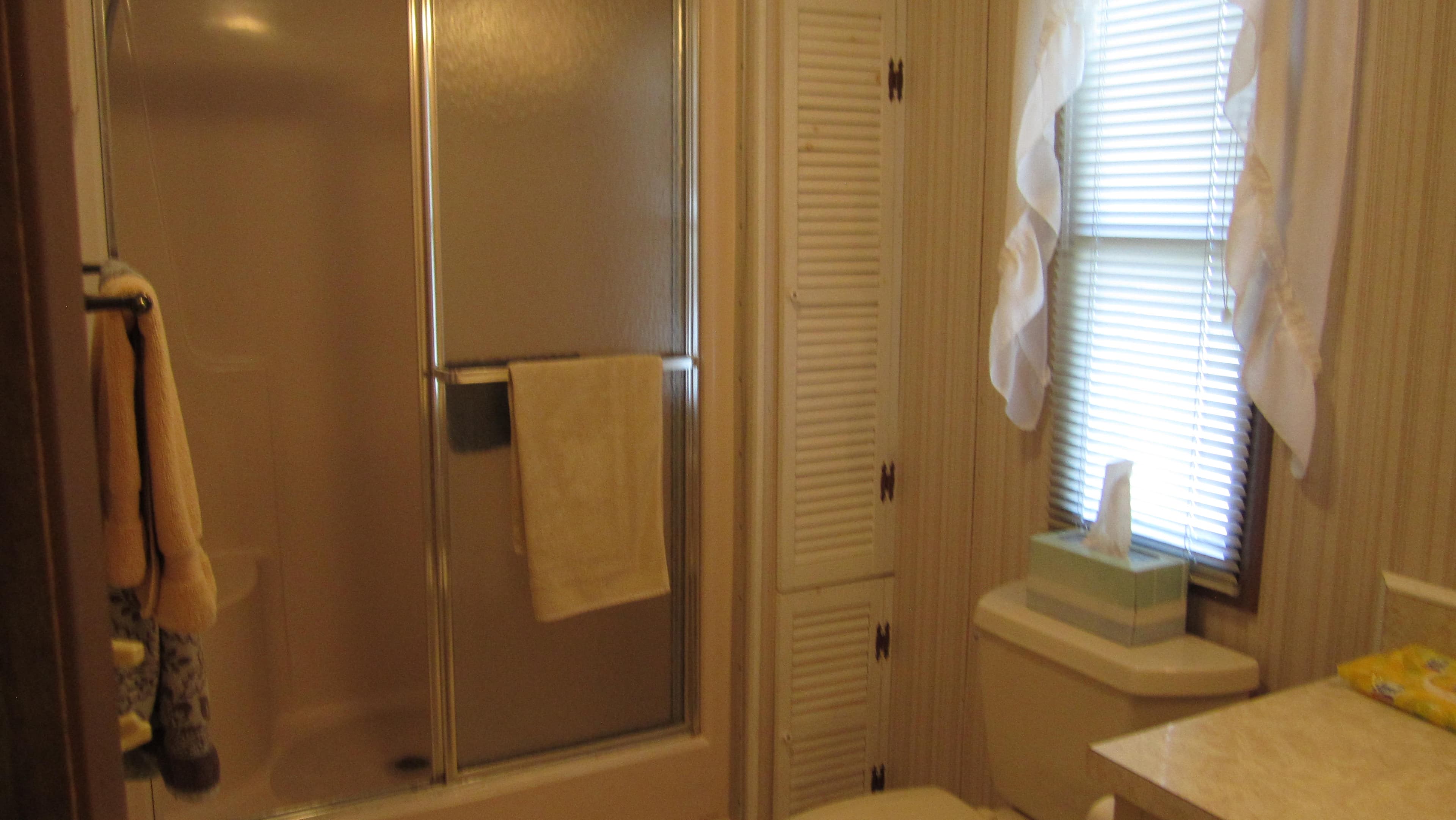 IMG_3455 2-9 bthrm.JPG