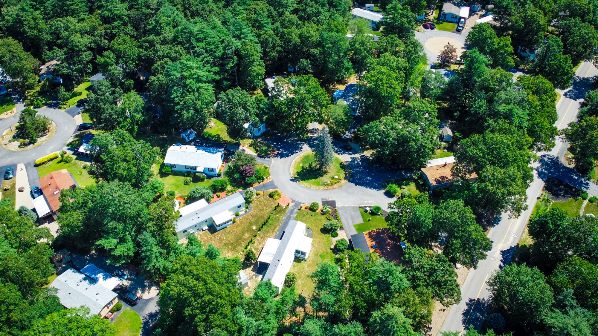 DJI_0262.jpg